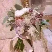 lilyの画像