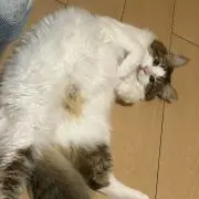 るこ