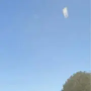 あきの画像
