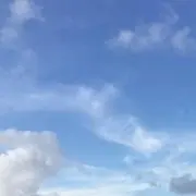 あおぞらの画像