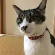 みつきちの画像
