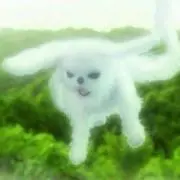 ゆめのけの画像