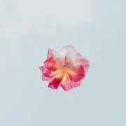るる