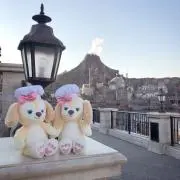 ぱんだの画像