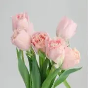 まなみ.＊の画像