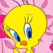 tweety.pink☆フォロー割10%の画像