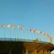 ムラサキ(即購入可無言取引○)の画像