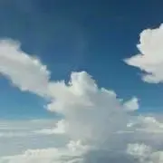 Hanaの画像
