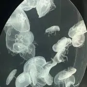 M.Kの画像