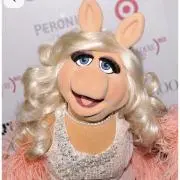 Piggyの画像
