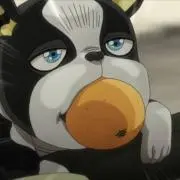 わぬこの画像
