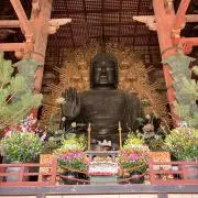 daibutsuの画像