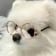 ここの画像
