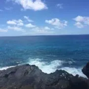 ミヅキの画像