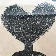 ターの画像