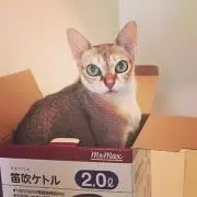 yrmm@無言OKの画像