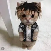 猫太の画像