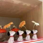 さちこの画像
