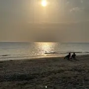 モカの画像