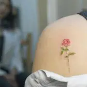 オリーブ