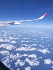 ミサキの画像