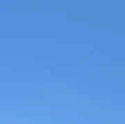 ドミンゴの画像