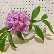 yuuuukkiの画像
