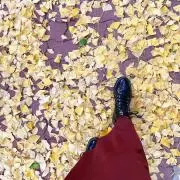 Fukuneの画像