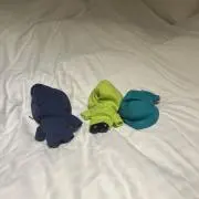 あうぃの画像