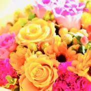 まな【値下げ交渉OKです！！】の画像