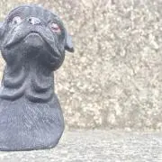 だいの画像
