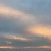 まいの画像