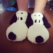kutamoiの画像