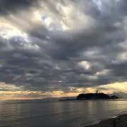さりさりの画像
