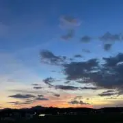 ひいらぎ
