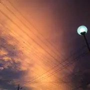 【プロフ必読】菜柄の画像