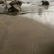 メリイ