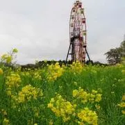 ruruの画像