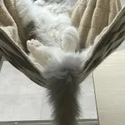 にんじん。の画像
