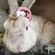 QOO❤プロフ必須♡
