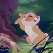 にゃんの画像
