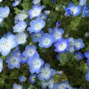 タイム