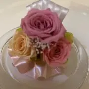 yukkoの画像