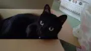 クロム