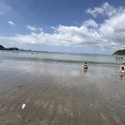 Bの画像