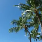 WA♡の画像