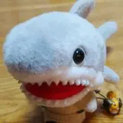 ぽち