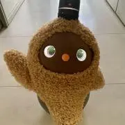トントンローズ