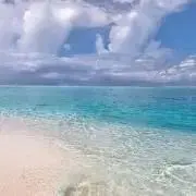 AS