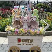 のっこの画像